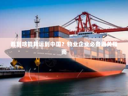 看到啥能转运到中国?物业企业必备通关指南 看到啥能转运到中国?物业企业必备通关指南