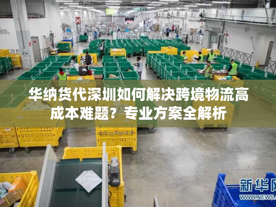 华纳货代深圳如何解决跨境物流高成本难题？专业方案全解析