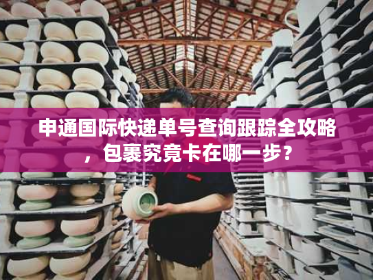 申通国际快递单号查询跟踪全攻略,包裹究竟卡在哪一步? 申通国际快递单号查询跟踪全攻略,包裹究竟卡在哪一步?