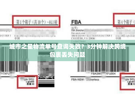 城市之星物流单号查询失败?3分钟解决跨境包裹丢失问题 城市之星物流单号查询失败?3分钟解决跨境包裹丢失问题