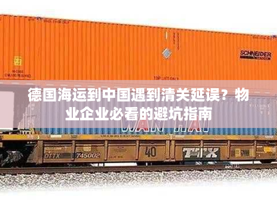 德国海运到中国遇到清关延误？物业企业必看的避坑指南