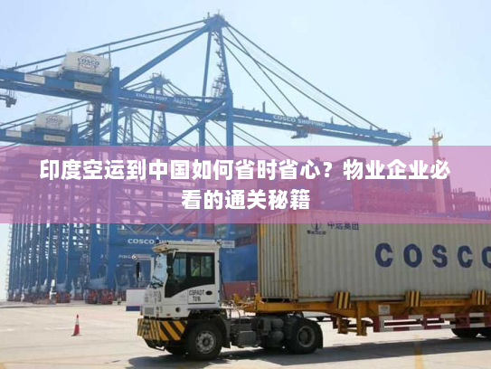 印度空运到中国如何省时省心?物业企业必看的通关秘籍 印度空运到中国如何省时省心?物业企业必看的通关秘籍