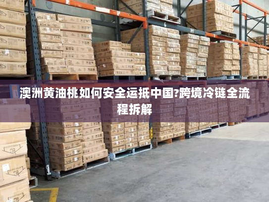 澳洲黄油桃如何安全运抵中国?跨境冷链全流程拆解 澳洲黄油桃如何安全运抵中国?跨境冷链全流程拆解