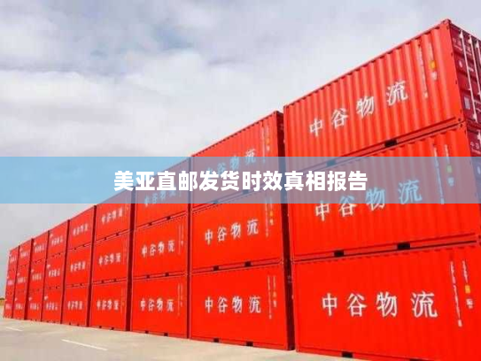 美亚直邮发货时效真相报告
