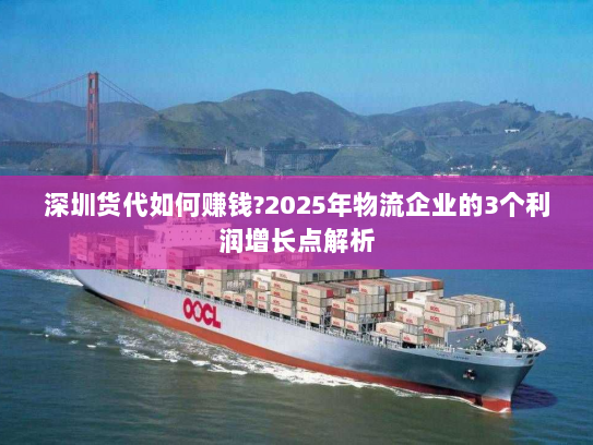 深圳货代如何赚钱?2025年物流企业的3个利润增长点解析 深圳货代如何赚钱?2025年物流企业的3个利润增长点解析