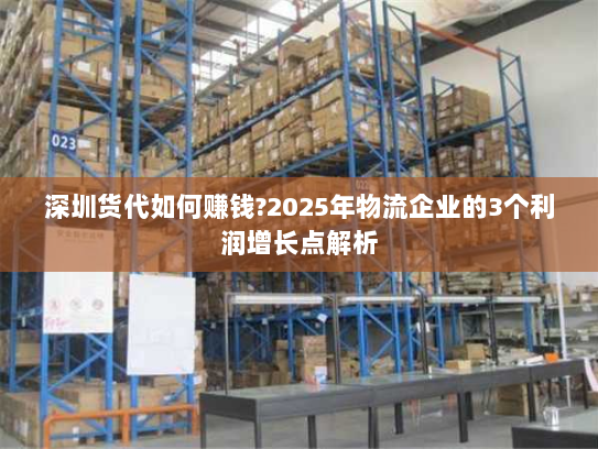 深圳货代如何赚钱?2025年物流企业的3个利润增长点解析 深圳货代如何赚钱?2025年物流企业的3个利润增长点解析