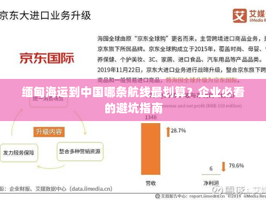 缅甸海运到中国哪条航线最划算?企业必看的避坑指南 缅甸海运到中国哪条航线最划算?企业必看的避坑指南