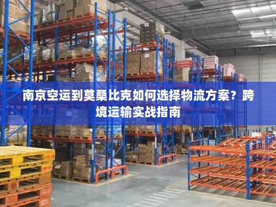 南京空运到莫桑比克如何选择物流方案?跨境运输实战指南 南京空运到莫桑比克如何选择物流方案?跨境运输实战指南