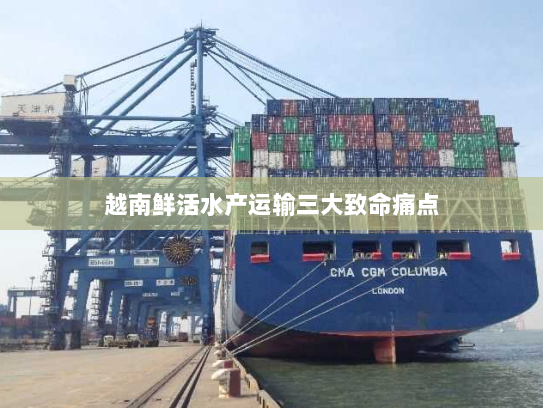 越南鲜活水产运输三大致命痛点 越南鲜活水产运输三大致命痛点