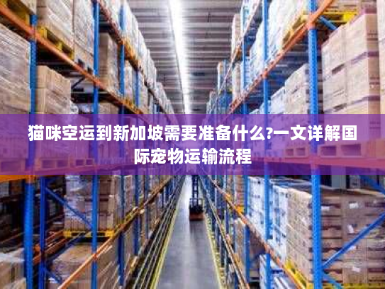 猫咪空运到新加坡需要准备什么?一文详解国际宠物运输流程