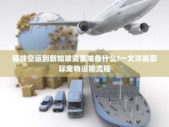 猫咪空运到新加坡需要准备什么?一文详解国际宠物运输流程