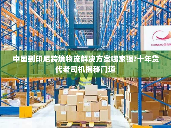 中国到印尼跨境物流解决方案哪家强?十年货代老司机揭秘门道 中国到印尼跨境物流解决方案哪家强?十年货代老司机揭秘门道