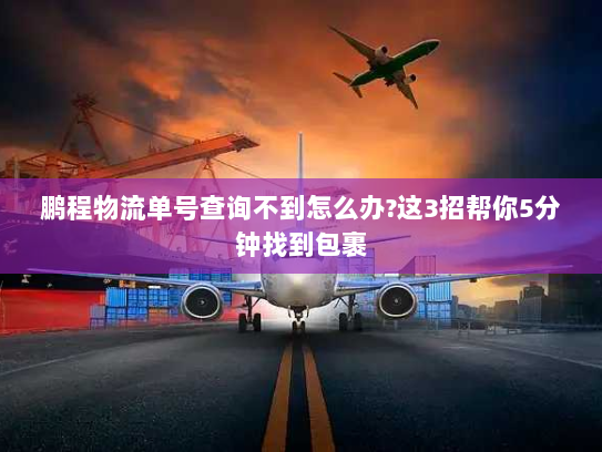 鹏程物流单号查询不到怎么办?这3招帮你5分钟找到包裹