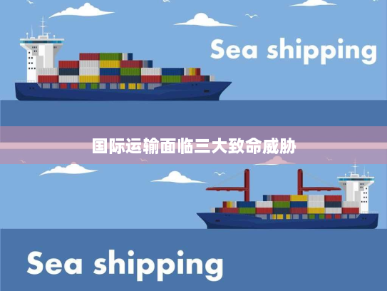 国际运输面临三大致命威胁 国际运输面临三大致命威胁