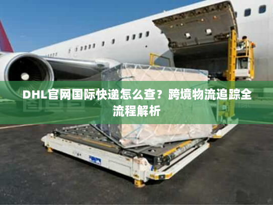DHL官网国际快递怎么查？跨境物流追踪全流程解析