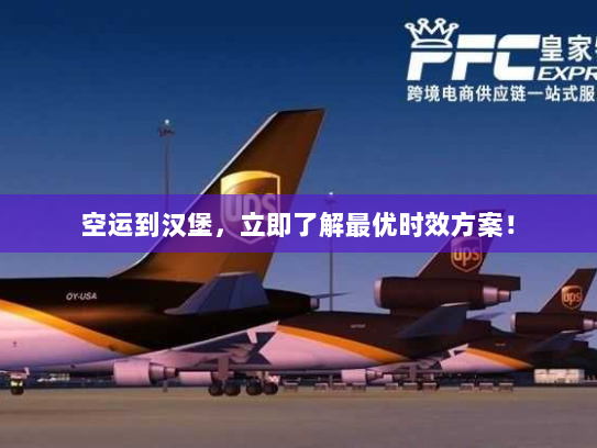 空运到汉堡,立即了解最优时效方案! 空运到汉堡,立即了解最优时效方案!