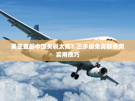 美亚直邮中国关税太高？三步避免高额费用实用技巧