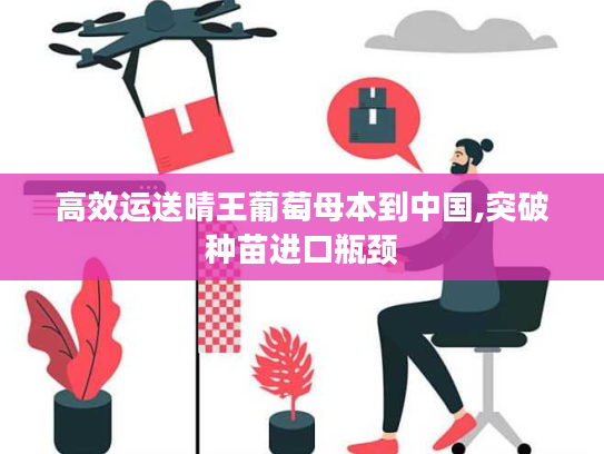 高效运送晴王葡萄母本到中国,突破种苗进口瓶颈