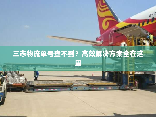 三志物流单号查不到?高效解决方案全在这里 三志物流单号查不到?高效解决方案全在这里