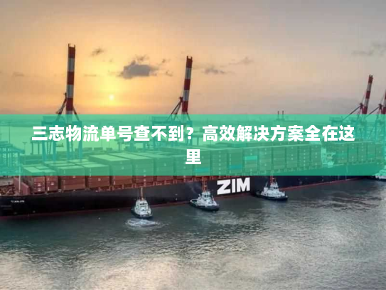 三志物流单号查不到?高效解决方案全在这里 三志物流单号查不到?高效解决方案全在这里