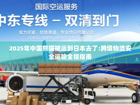 2025年中国熊猫被运到日本去了:跨境物流安全运输全程指南 2025年中国熊猫被运到日本去了:跨境物流安全运输全程指南
