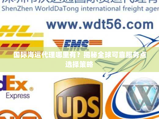 国际海运代理哪里有？揭秘全球可靠服务点选择策略