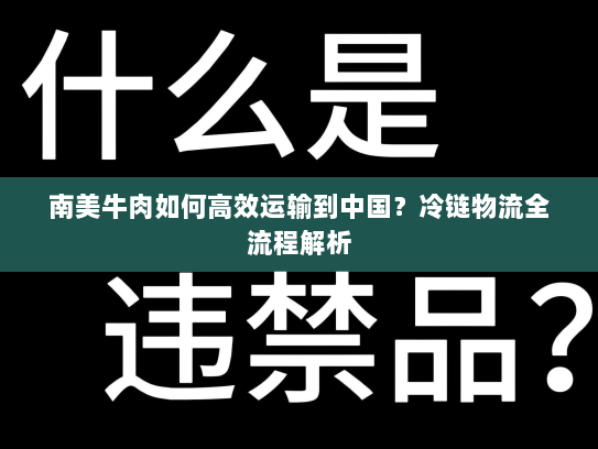 南美牛肉如何高效运输到中国?冷链物流全流程解析 南美牛肉如何高效运输到中国?冷链物流全流程解析