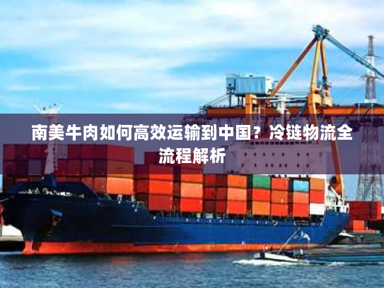 南美牛肉如何高效运输到中国?冷链物流全流程解析 南美牛肉如何高效运输到中国?冷链物流全流程解析