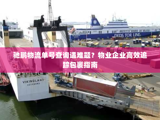 驰鹏物流单号查询遇难题？物业企业高效追踪包裹指南