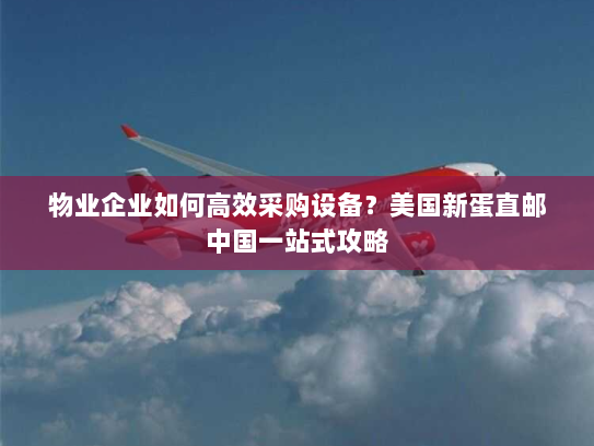 物业企业如何高效采购设备？美国新蛋直邮中国一站式攻略