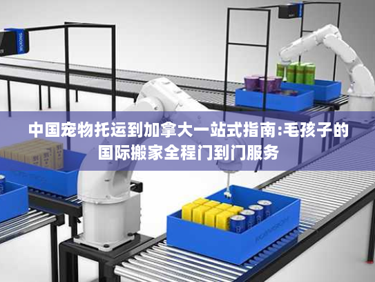 中国宠物托运到加拿大一站式指南:毛孩子的国际搬家全程门到门服务 中国宠物托运到加拿大一站式指南:毛孩子的国际搬家全程门到门服务