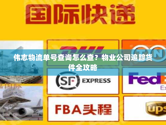 伟志物流单号查询怎么查？物业公司追踪货件全攻略