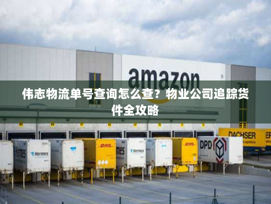 伟志物流单号查询怎么查？物业公司追踪货件全攻略