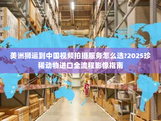 美洲狮运到中国视频拍摄服务怎么选?2025珍稀动物进口全流程影像指南