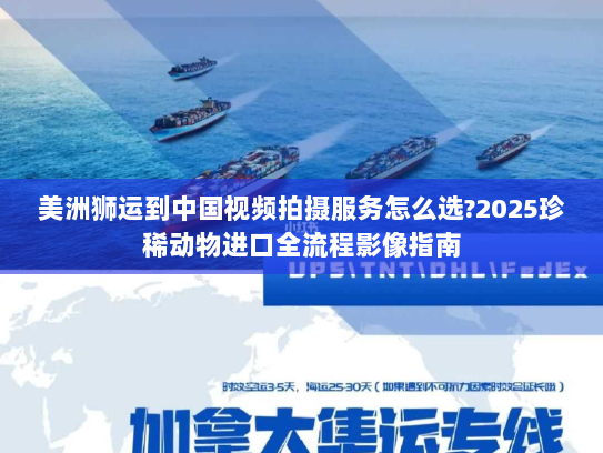 美洲狮运到中国视频拍摄服务怎么选?2025珍稀动物进口全流程影像指南
