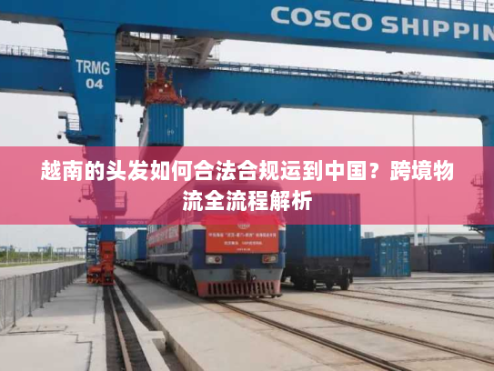 越南的头发如何合法合规运到中国？跨境物流全流程解析