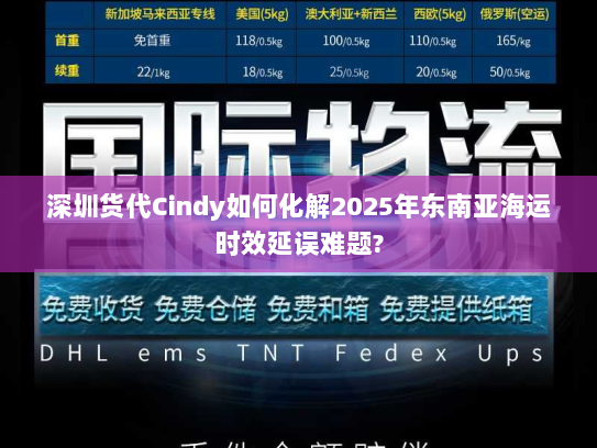深圳货代Cindy如何化解2025年东南亚海运时效延误难题?