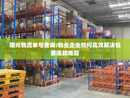 曙光物流单号查询:物业企业如何高效解决包裹追踪难题