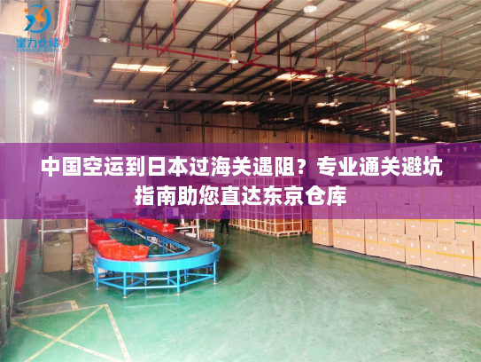 中国空运到日本过海关遇阻？专业通关避坑指南助您直达东京仓库