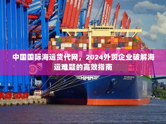 中国国际海运货代网，2024外贸企业破解海运难题的高效指南