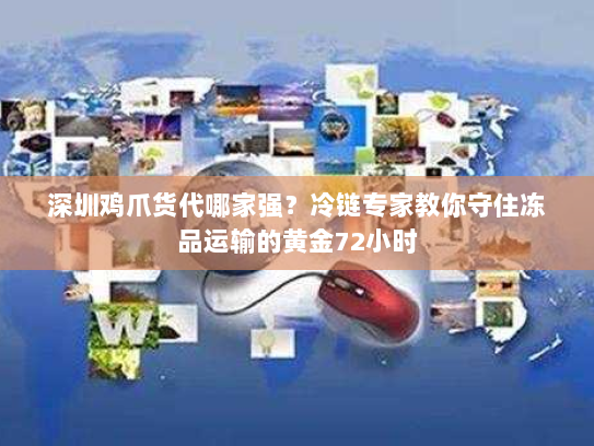 深圳鸡爪货代哪家强?冷链专家教你守住冻品运输的黄金72小时 深圳鸡爪货代哪家强?冷链专家教你守住冻品运输的黄金72小时