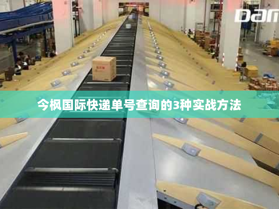 今枫国际快递单号查询的3种实战方法 今枫国际快递单号查询的3种实战方法