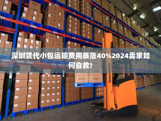 深圳货代小包运输费用暴涨40%2024卖家如何自救? 深圳货代小包运输费用暴涨40%2024卖家如何自救?