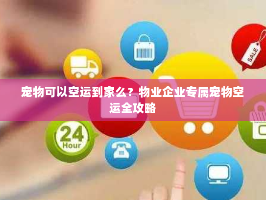 宠物可以空运到家么？物业企业专属宠物空运全攻略