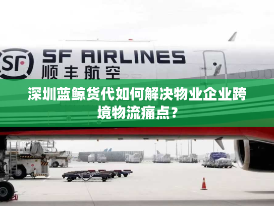 深圳蓝鲸货代如何解决物业企业跨境物流痛点? 深圳蓝鲸货代如何解决物业企业跨境物流痛点?