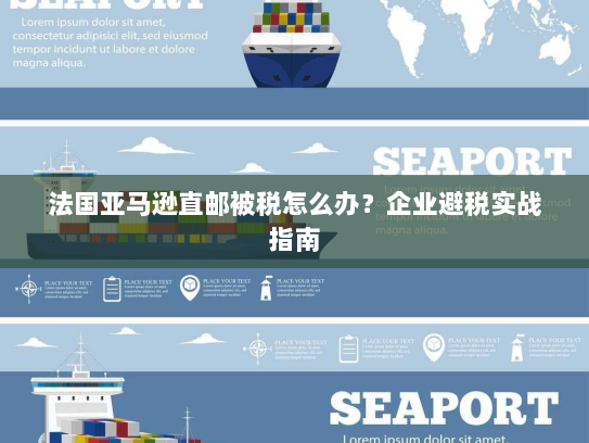 法国亚马逊直邮被税怎么办?企业避税实战指南 法国亚马逊直邮被税怎么办?企业避税实战指南