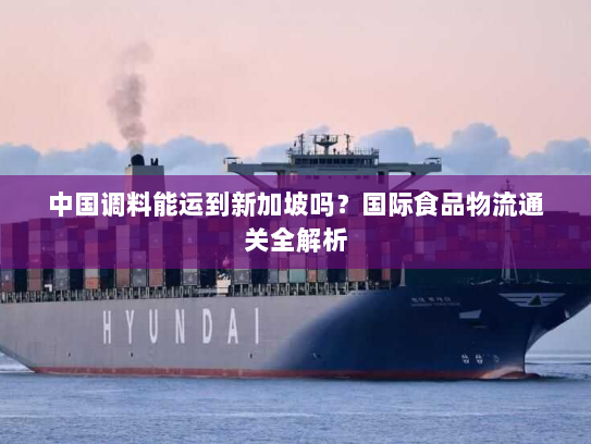 中国调料能运到新加坡吗?国际食品物流通关全解析 中国调料能运到新加坡吗?国际食品物流通关全解析