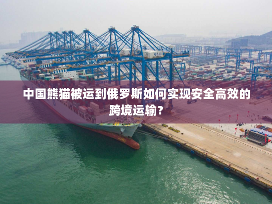 中国熊猫被运到俄罗斯如何实现安全高效的跨境运输? 中国熊猫被运到俄罗斯如何实现安全高效的跨境运输?