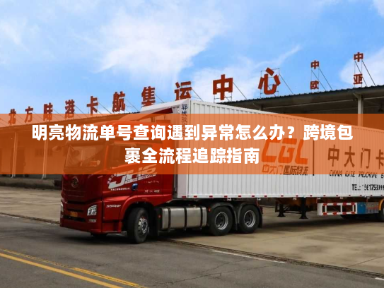 明亮物流单号查询遇到异常怎么办？跨境包裹全流程追踪指南