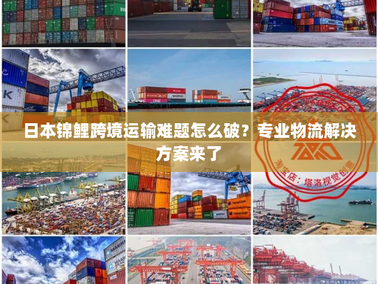 日本锦鲤跨境运输难题怎么破?专业物流解决方案来了 日本锦鲤跨境运输难题怎么破?专业物流解决方案来了